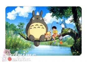 Totoro 17